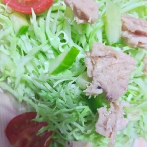 缶詰ꕤツナと野菜サラダ✧˖°⭐️